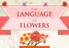 Educational infographic : Educational infographic : Understanding the Flowers Language #Infographics