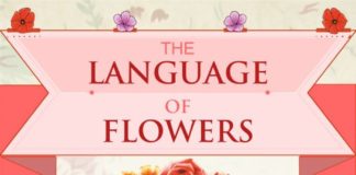 Educational infographic : Educational infographic : Understanding the Flowers Language #Infographics