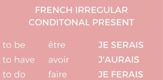 Educational infographic : french irregular conditional