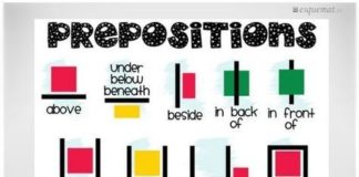 Educational infographic : *FREE* Prepositions Printable