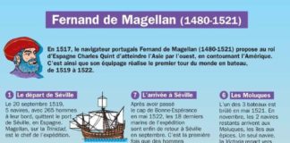 Educational infographic : Fernand de Magellan