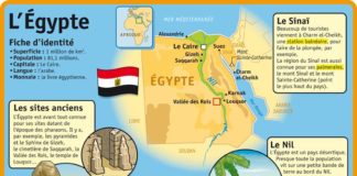 Educational infographic : Fiche exposés : L'Égypte