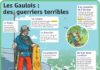 Educational infographic : Fiche exposés : Les Gaulois : des guerriers terribles
