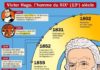 Educational infographic : Fiche exposés: Victor Hugo