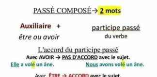 Educational infographic : Français1Bto: diciembre 2015