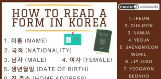 Educational infographic : How to Read A Form in Korea #learnkorean #design #learn #koreanclass #hangul