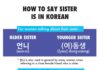 Educational infographic : How to Say Sister in Korean