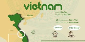 Educational infographic : Infographic about Vietnam