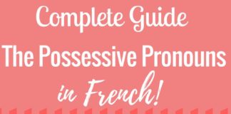 Educational infographic : Infographic on French possessive pronouns