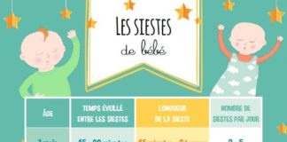 Educational infographic : Infographies : les différentes étapes de bébé