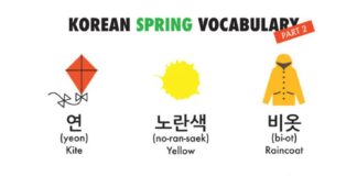 Educational infographic : Korean Language Infographics | Learn Basic Korean Vocabulary & Phrases with Dom …