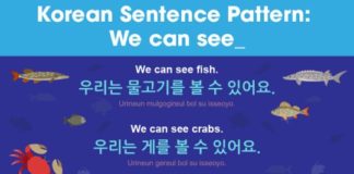 Educational infographic : Korean Sentence Pattern We can see ____ #korean #learnkoreanfast #hangul