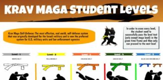 Educational infographic : Krav Maga Student Levels Infographic
