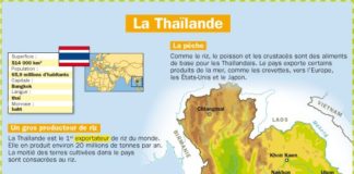 Educational infographic : La Thaïlande