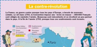 Educational infographic : La contre-révolution