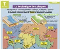 Educational infographic : La tectonique des plaques – Mon Quotidien, le seul site d'information quotid…