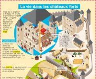 Educational infographic : La vie dans les châteaux forts