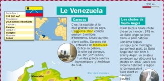 Educational infographic : Le Venezuela
