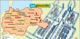 Educational infographic : Le génocide