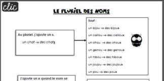 Educational infographic : Le pluriel des noms