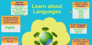 Educational infographic : Learn About Languages Infographic