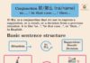 Educational infographic : Learn Chinese language from Karen – A Chinese girl. I will master you in pronoun…
