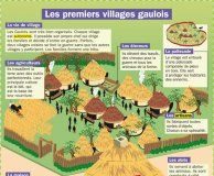 Educational infographic : Les premiers villages gaulois – Mon Quotidien, le seul site d'information qu…