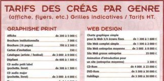 Educational infographic : Les rémunérations des graphistes et créatifs en 2008