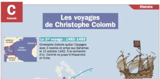 Educational infographic : Les voyages de Christophe Colomb