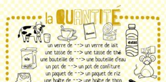 Educational infographic : L’expression de la quantité