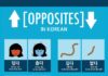 Educational infographic : Lots of vocabulary on opposites. This may be a two or three part series dependin…