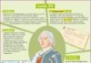 Educational infographic : Louis XV