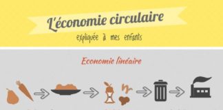 Educational infographic : L’économie circulaire expliquée aux enfants