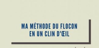 Educational infographic : Ma méthode du flocon | Aude Réco