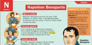 Educational infographic : Napoleone