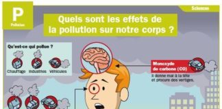 Educational infographic : Quels sont les effets de la pollution sur notre corps ?