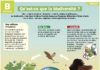 Educational infographic : Qu’est-ce que la biodiversité ?