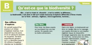 Educational infographic : Qu’est-ce que la biodiversité ?