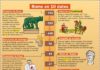 Educational infographic : Rome en 10 dates