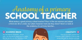 Educational infographic : The Anatomy of a Primary School Teacher Infographic
