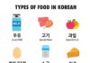 Educational infographic : Types of Food in Korean