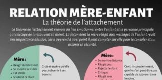 Educational infographic : Une infographie intéressante sur la théorie de l'attachement