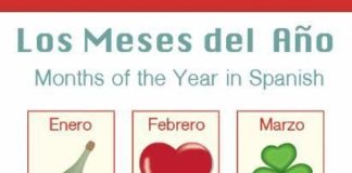 Educational infographic : Whether you’re learning Spanish for fun, for work or for some other reason, chan…