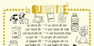 Educational infographic : expression de la quantité, FLE, le FLE en un 'clic'