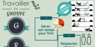 Educational infographic : gestion de classe – Affichage – travail de groupe – CM