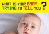 Educational infographic : how to understand baby language infographic