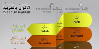 Educational infographic : infographic: colors’ name in Arabic language #learnarabicforchildren