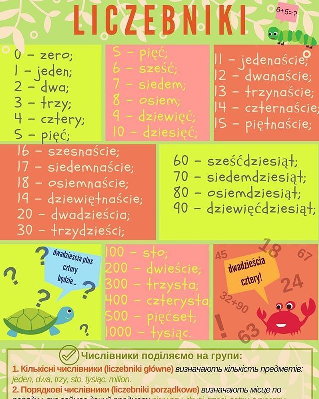 Educational infographic : #polish #polish_language #infographic # ...