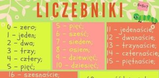 Educational infographic : #polish #polish_language #infographic #польська #польський