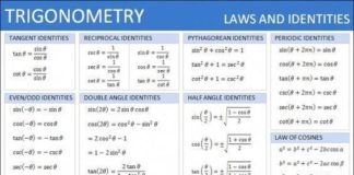 Educational infographic : #students #service #writing #online #student #college